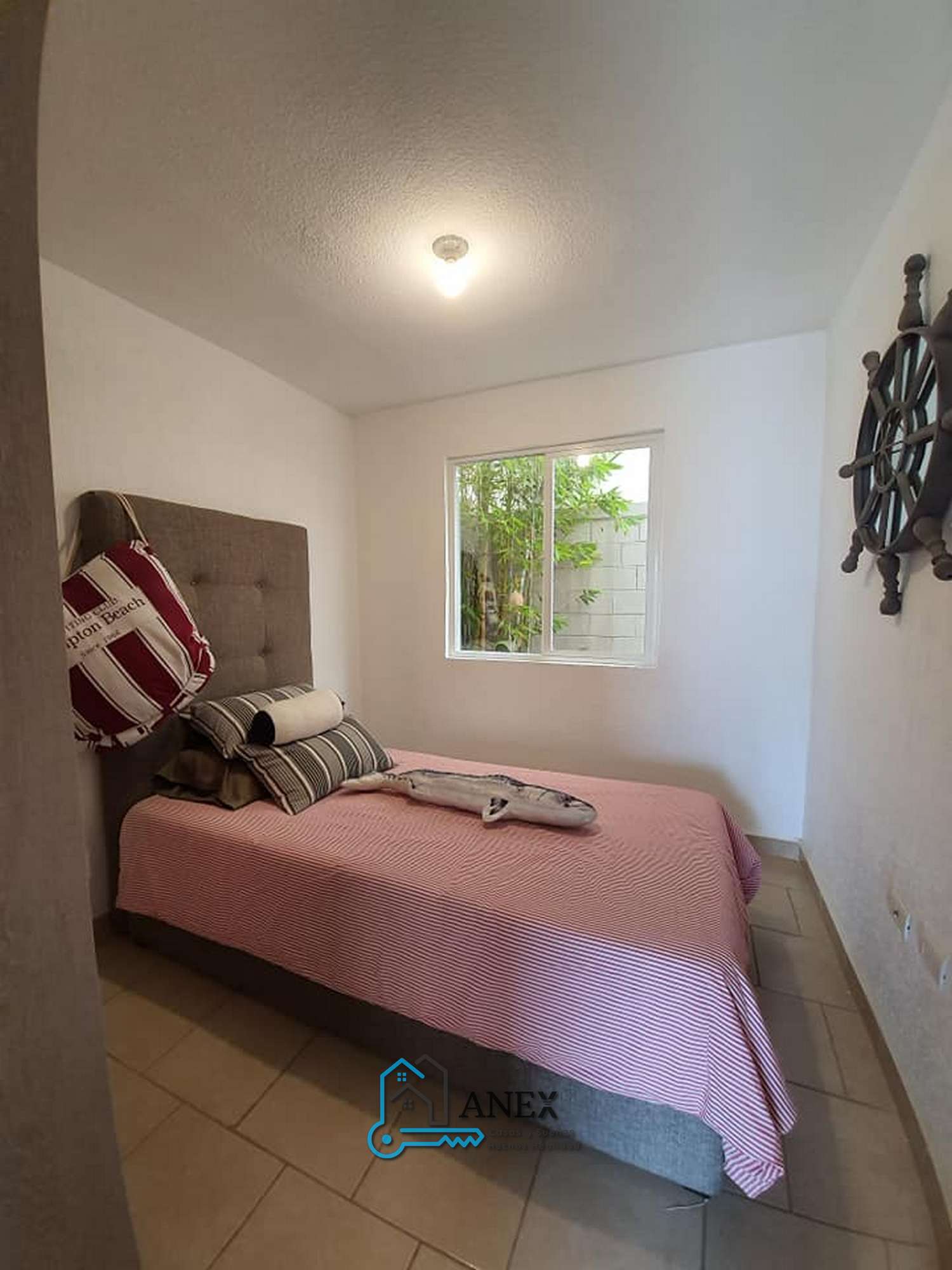 121536585_4979458292096778_4703425752670302223_n