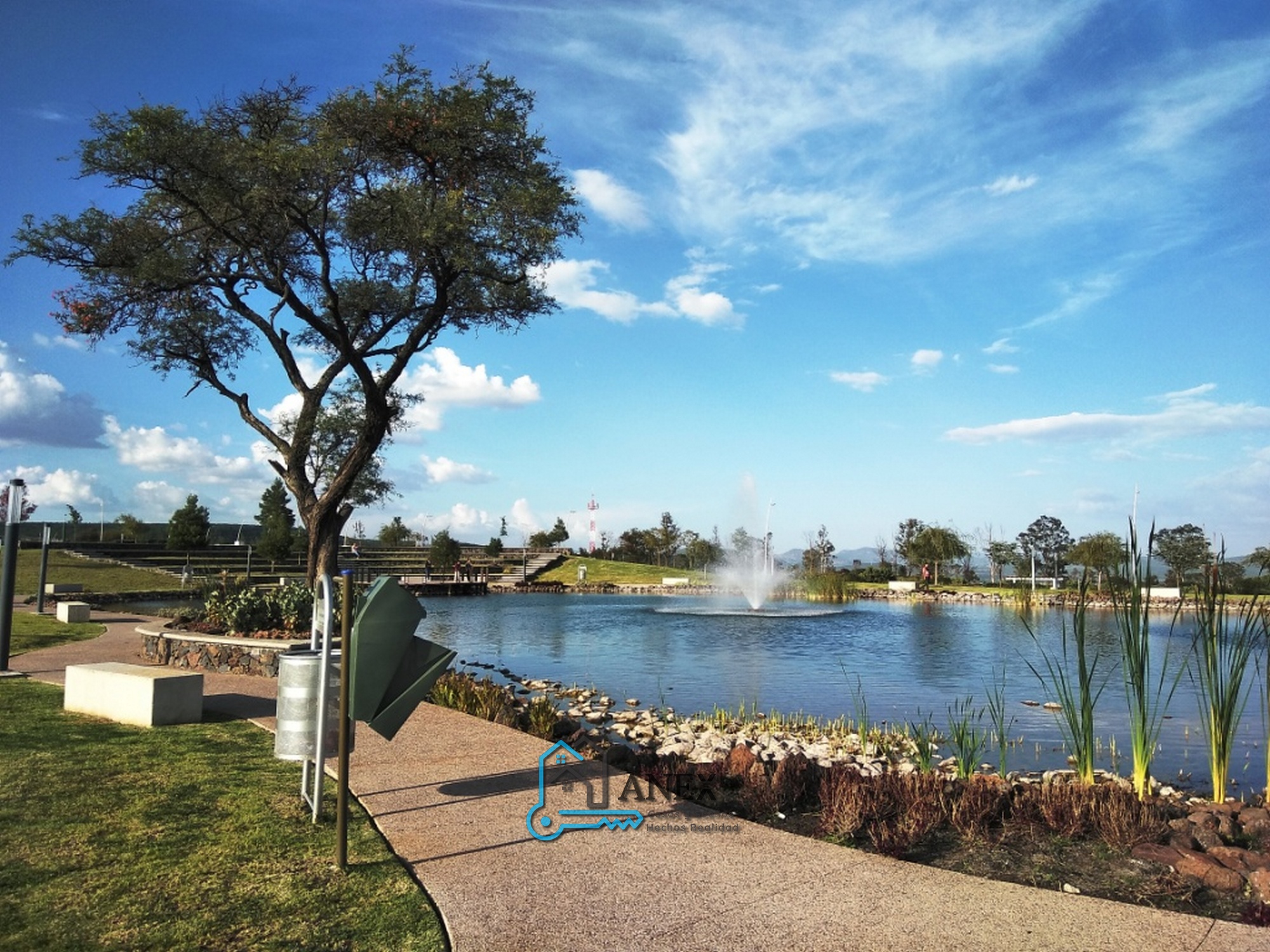 IMG_20190730_185318-1